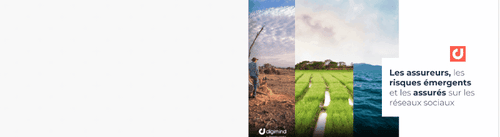 book3Dassurancesfaiblepetit2